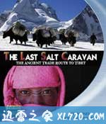 最后的盐道 The Last Salt Caravan(2009)