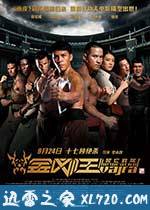 金刚王:死亡救赎 (2013)