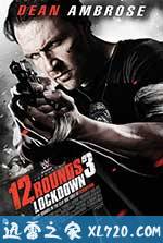 12回合3:致命禁闭 12 Rounds 3: Lockdown (2015)