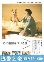 为你取名的那一天 犬に名前をつける日 (2015)