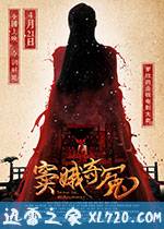 窦娥奇冤 (2017)