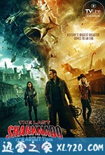 鲨卷风6:最后的鲨卷风 The Last Sharknado: It's About Time (2018)