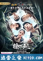 输不起 (2020)