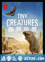 微观世界 Tiny Creatures (2020)
