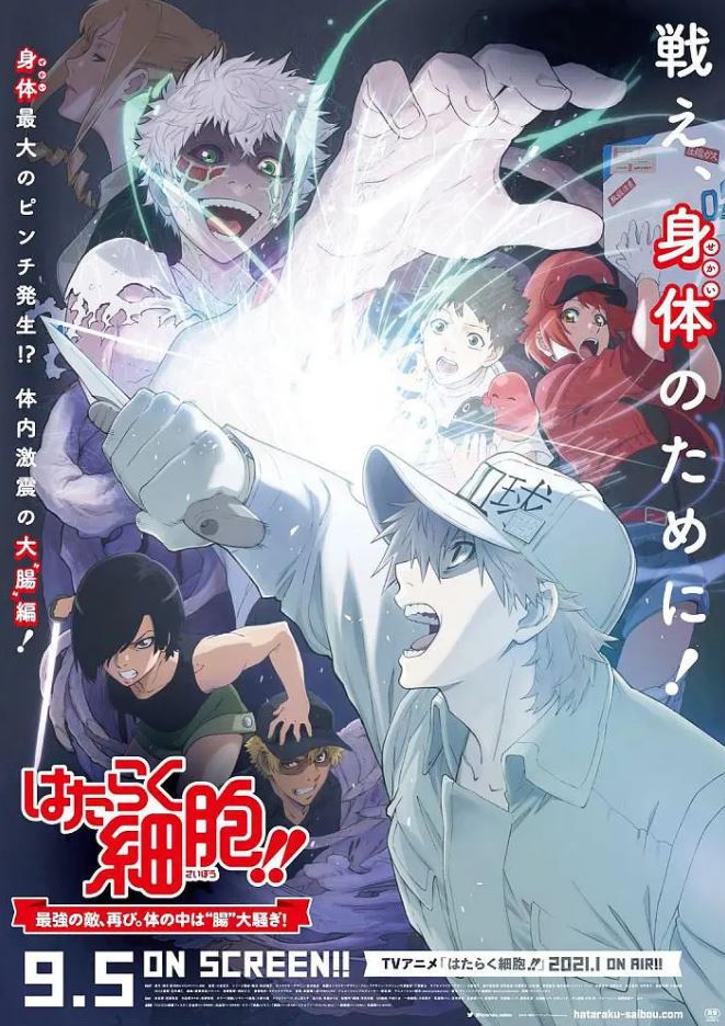 2020年日本6.9分动画片《工作细胞:细胞大作战》BD日语中字