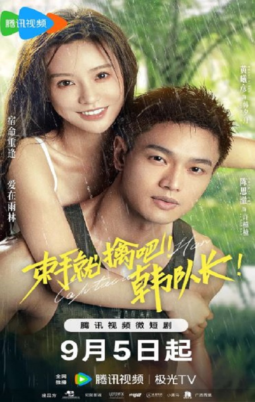 2023年国产大陆电视剧《束手就擒吧!韩队长》全23集