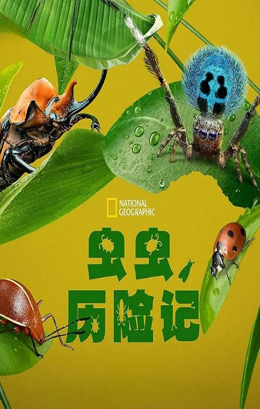 2024年美国纪录片《虫虫历险记》全5集