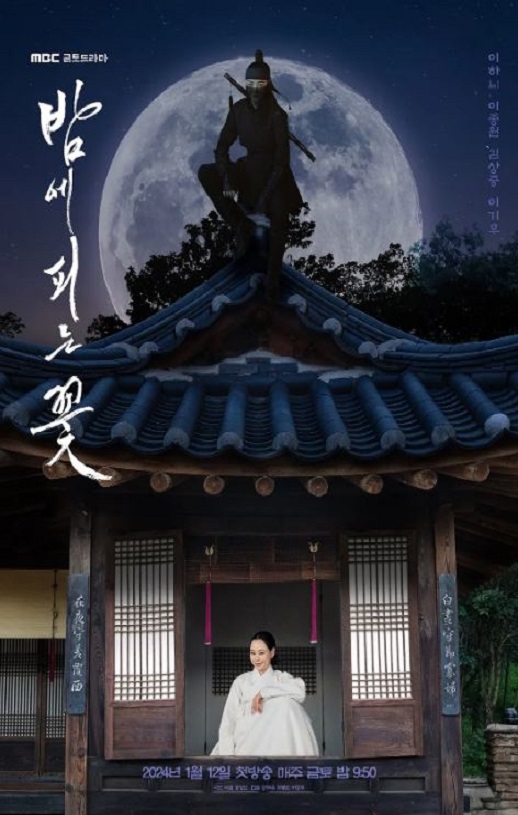 2024年韩国电视剧《夜晚开的花》全12集