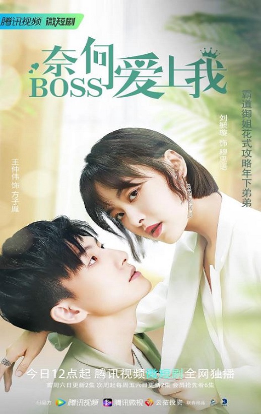 2022年国产大陆电视剧《奈何BOSS爱上我》全16集