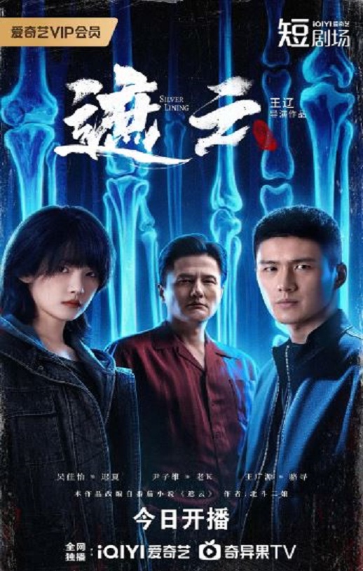 2025年国产大陆电视剧《遮云》全35集