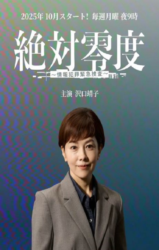 2025年日本电视剧《绝对零度 ～情报犯罪紧急搜查～》全11集