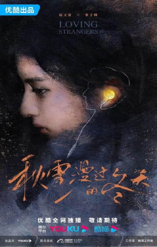 2026年国产大陆电视剧《秋雪漫过的冬天》全28集