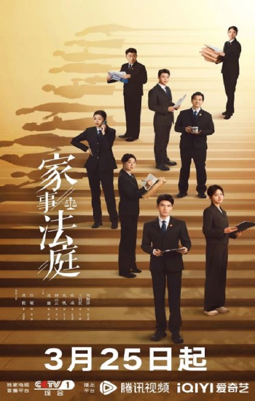 2026年国产电视剧《家事法庭》 连载至第06集