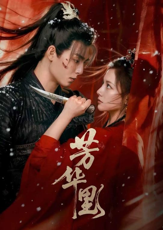 2026年国产电视剧《芳华里》 全24集
