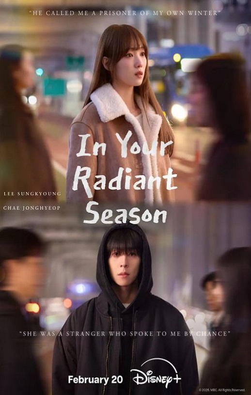 2026年国产电视剧《在你的灿烂季节》 连载至第09集