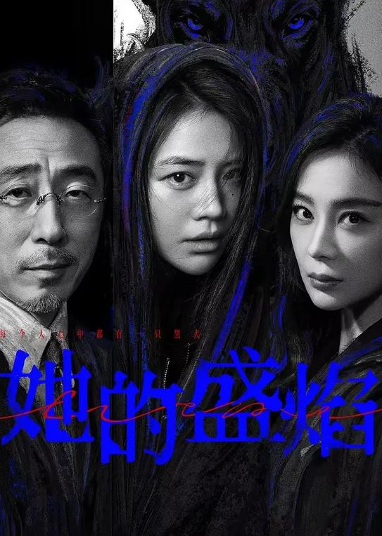 2026年国产电视剧《她的盛焰》 连载至第25集