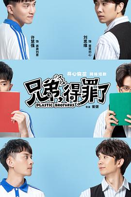 2020年大陆电视剧《兄弟，得罪了》 全第30集