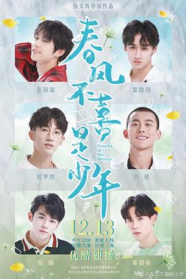 2020年大陆电视剧《春风不喜是少年》 全第24集