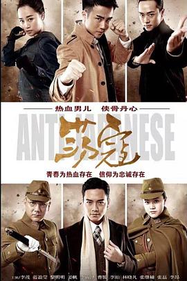 2016年国产电视剧《荡寇》 全第40集