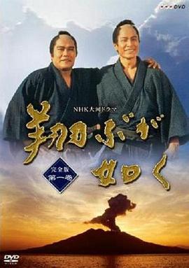 1990年日本电视剧《宛如飞翔》 全第48集