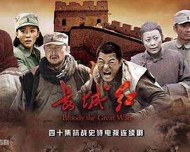 2015年国产电视剧《长城红》 全第36集