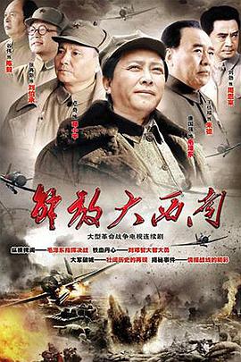 2010年国产电视剧《解放大西南》 全第30集