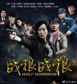 2017年国产电视剧《战狼·战狼》 全第50集
