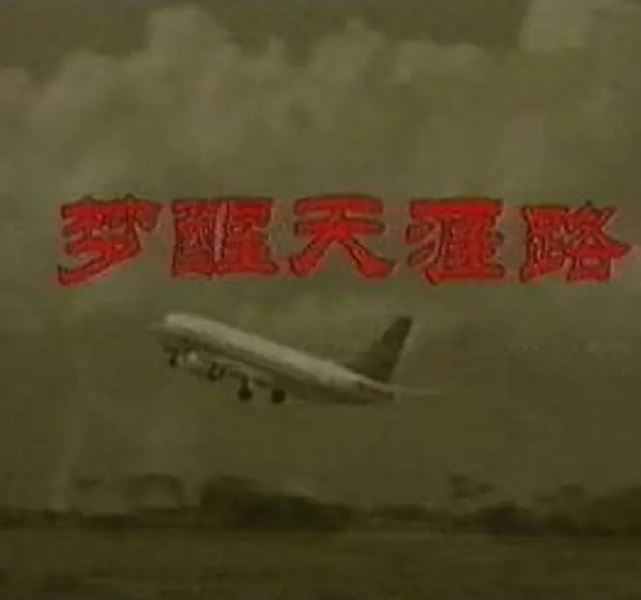1995年国产电视剧《梦醒天涯路》 全第20集