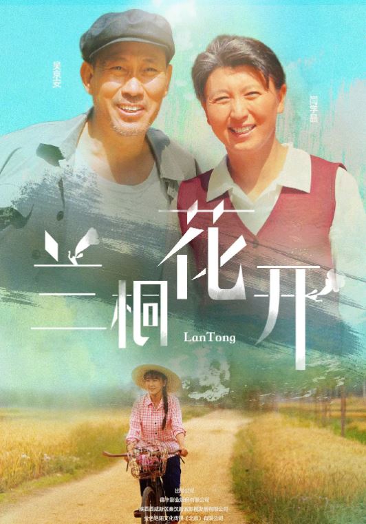 2018年国产电视剧《兰桐花开》 全第42集