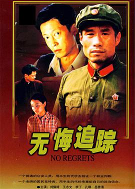 1995年国产电视剧《无悔追踪》 全第20集
