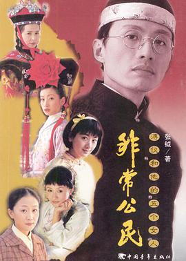 2002年国产电视剧《非常公民》 全第30集