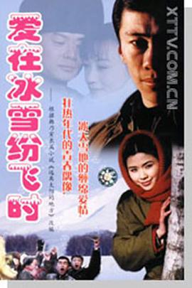 2000年国产电视剧《爱在冰雪纷飞时》 全第20集