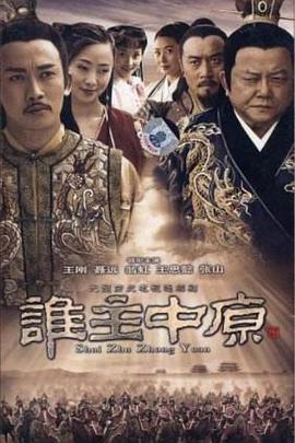 2005年国产电视剧《谁主中原》 全第29集