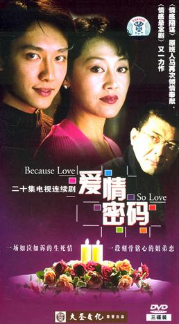 2001年国产电视剧《爱情密码》 全第19集