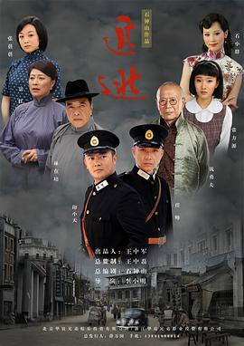 2012年国产电视剧《追逃》 全第30集