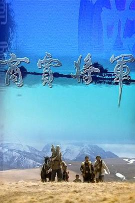 2006年国产电视剧《商贾将军》 全第29集