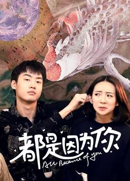 2020年国产电视剧《都是因为你》 全第12集