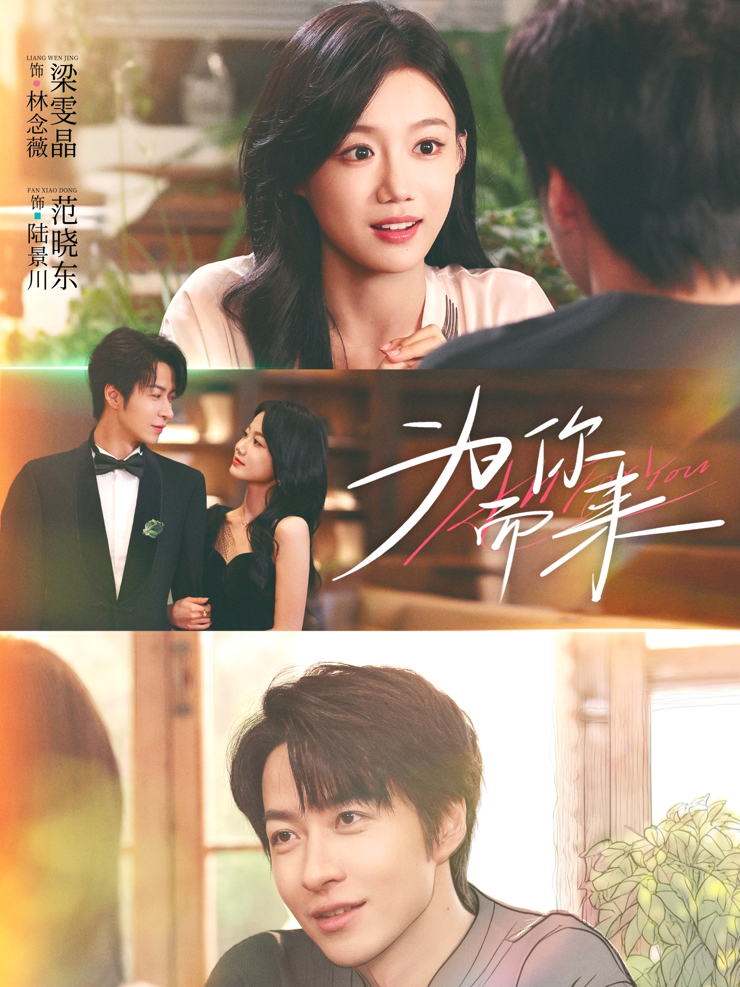 2026年国产电视剧《为你而来》 连载至第22集