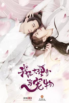2019年国产电视剧《我在大理寺当宠物》 全第22集