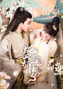2023年大陆电视剧《盛宠娇妻》 连载至第26集