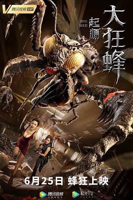 2020年大陆电影《大狂蜂:起源》原片